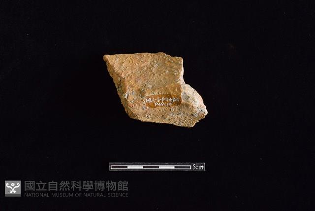 陶罐藏品圖，第2張