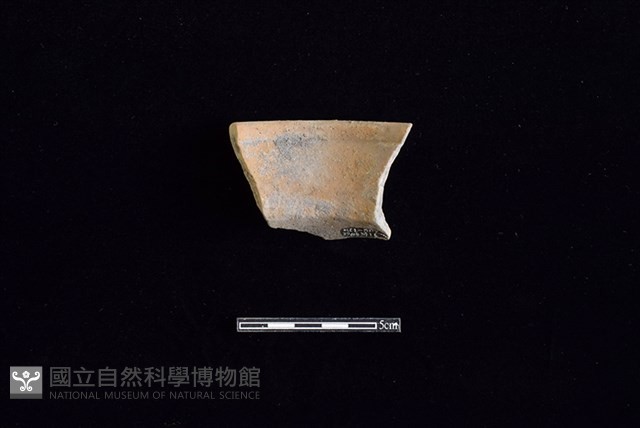 陶罐藏品圖，第2張