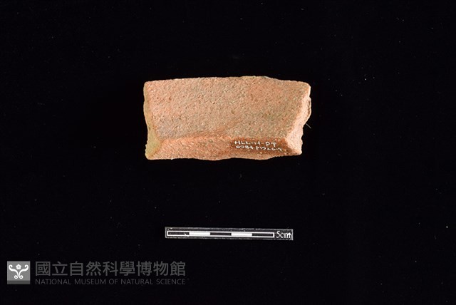 陶罐藏品圖，第2張