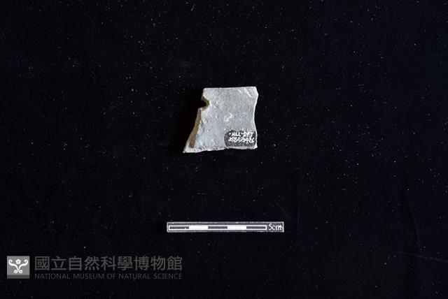 陶片藏品圖，第2張