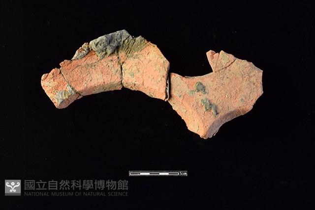 連杯形器藏品圖，第2張