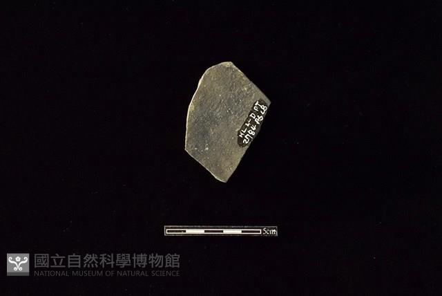 陶片藏品圖，第2張