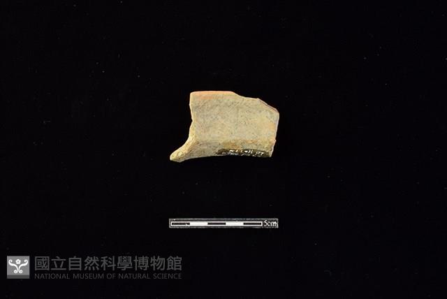 陶罐藏品圖，第2張