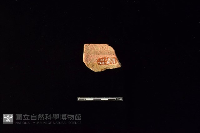 陶罐藏品圖，第2張