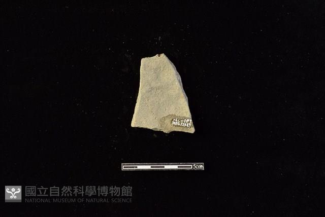 陶片藏品圖，第2張