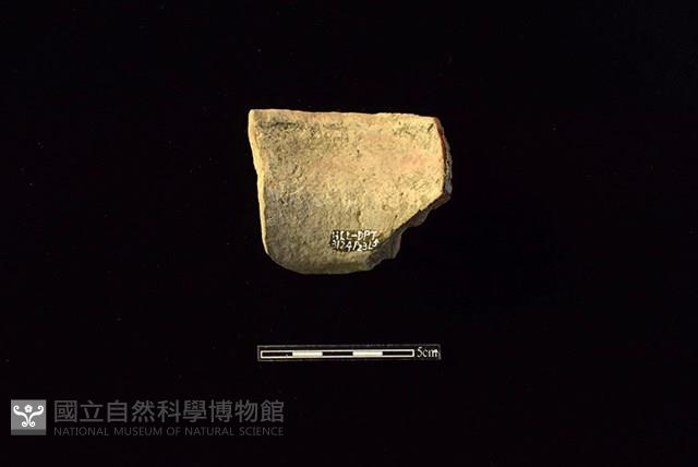 陶罐藏品圖，第2張