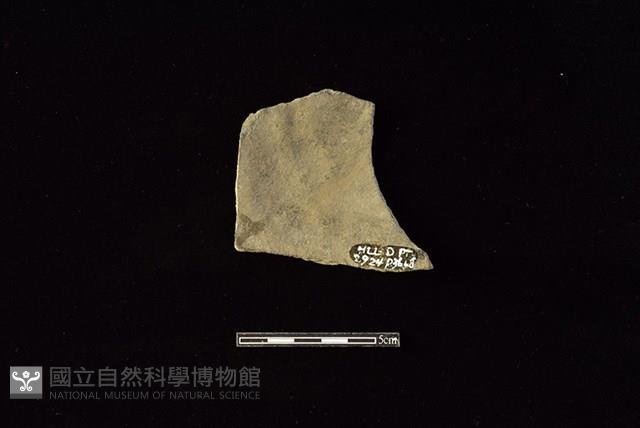 陶片藏品圖，第2張