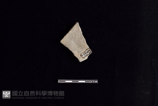 陶片藏品圖，第2張
