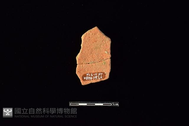 陶片藏品圖，第2張