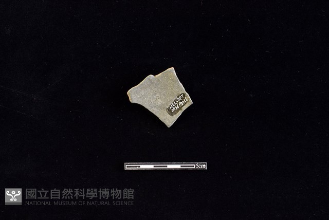 陶片藏品圖，第2張