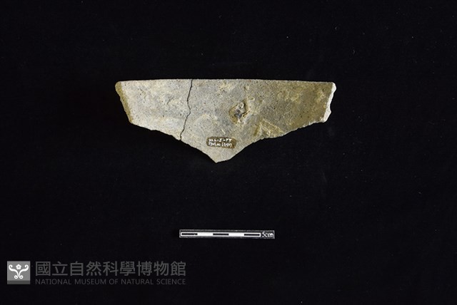 陶罐藏品圖，第2張