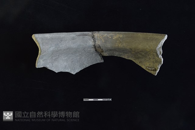 陶罐藏品圖，第2張
