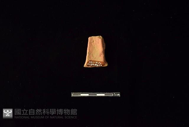 陶片藏品圖，第2張