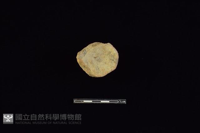 陶片藏品圖，第2張