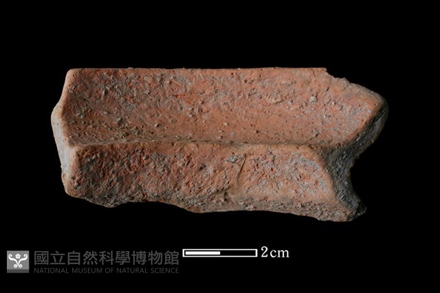 陶罐藏品圖，第2張
