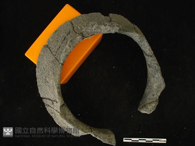 陶片藏品圖，第2張