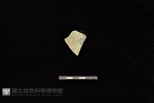陶片藏品圖，第2張