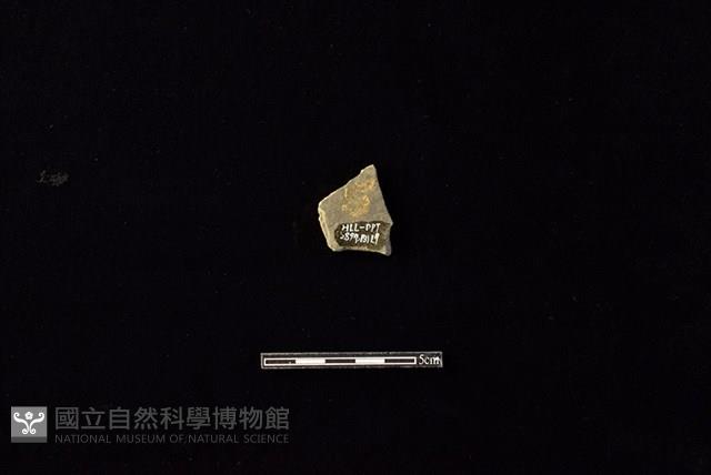 陶片藏品圖，第2張