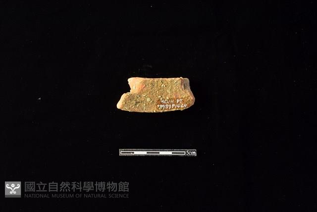 陶片藏品圖，第2張