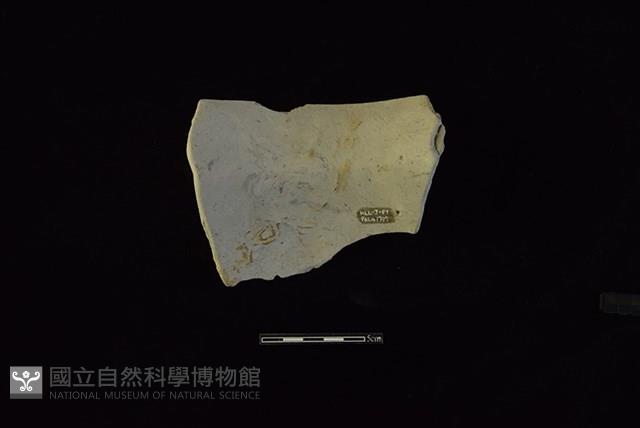 陶罐藏品圖，第2張