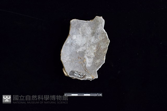 陶片藏品圖，第2張