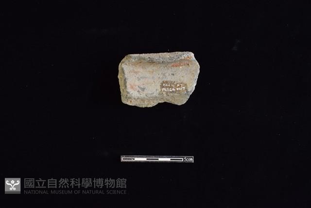 陶罐藏品圖，第2張