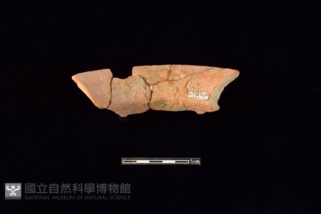 陶罐藏品圖，第2張