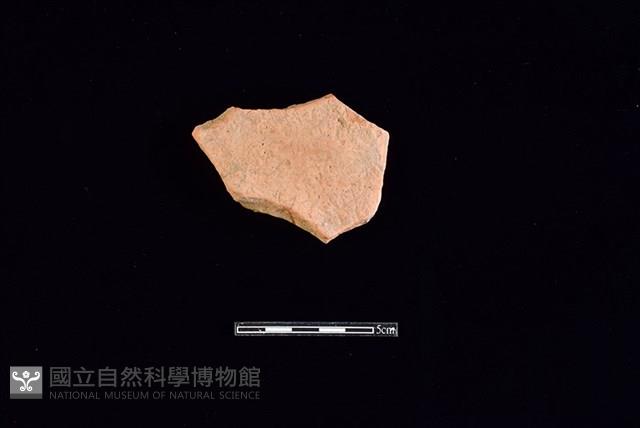 Accession Number:HLL-H PT1017 Collection Image, Figure 2, Total 2 Figures