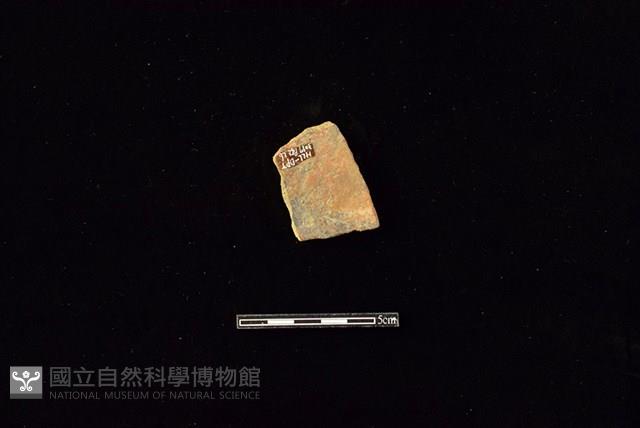 陶片藏品圖，第2張