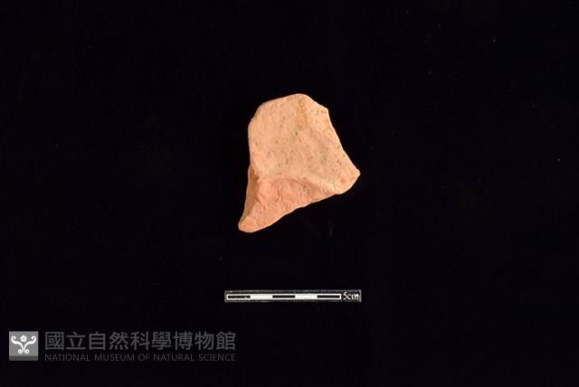 連杯形器藏品圖，第2張