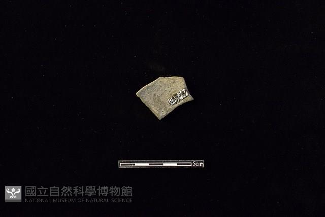 陶片藏品圖，第2張