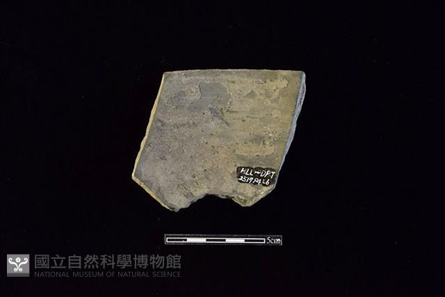 陶片藏品圖，第2張