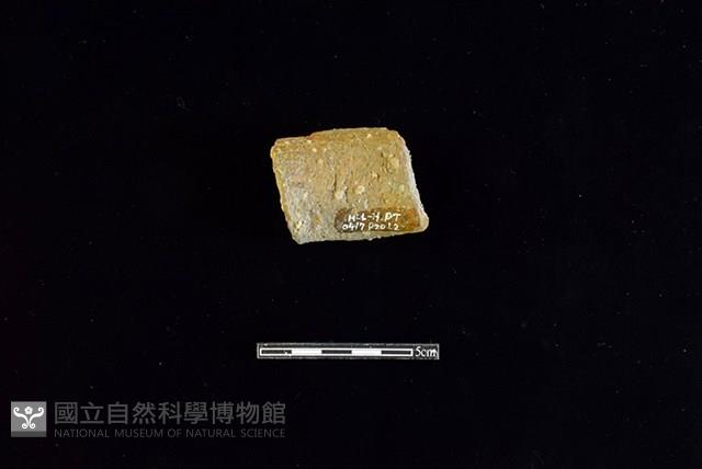 Accession Number:HLL-H PT0417 Collection Image, Figure 2, Total 2 Figures