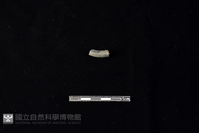 陶環藏品圖，第2張