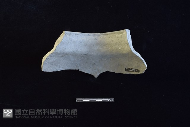 陶罐藏品圖，第2張