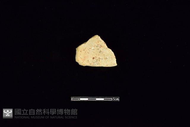 陶片藏品圖，第2張