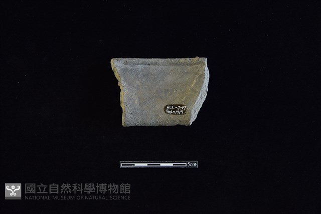 陶罐藏品圖，第2張