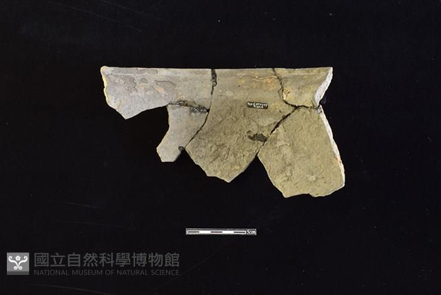 陶罐藏品圖，第2張