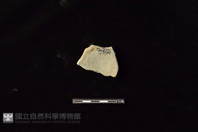 陶片藏品圖，第2張