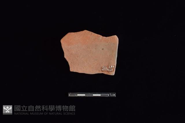 陶片藏品圖，第2張