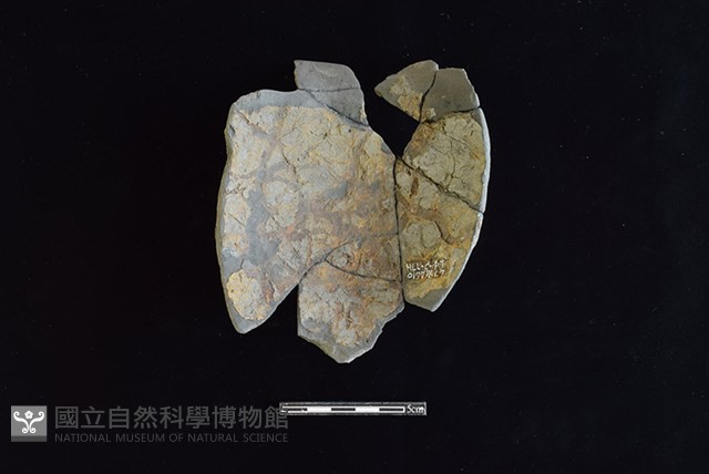 陶罐藏品圖，第2張