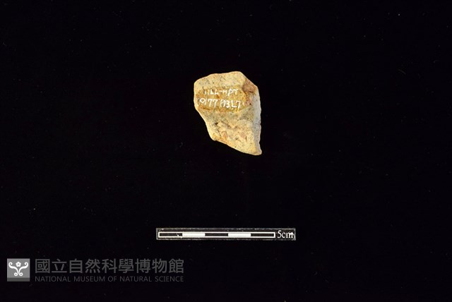 陶罐藏品圖，第2張