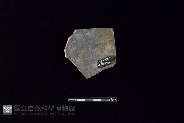 陶片藏品圖，第2張