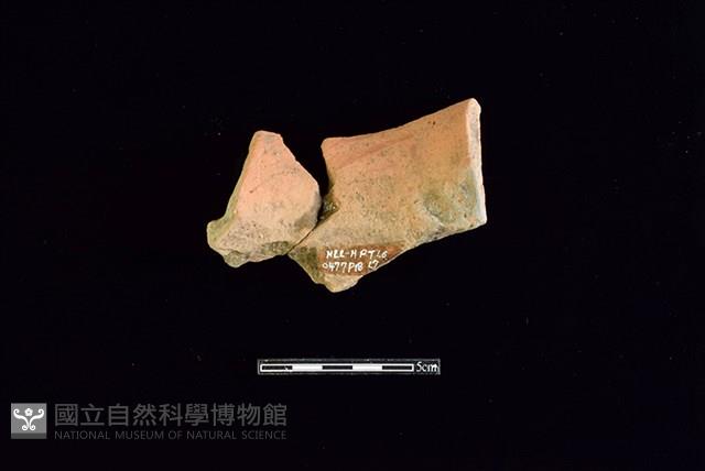 Accession Number:HLL-H PT0477 Collection Image, Figure 2, Total 2 Figures