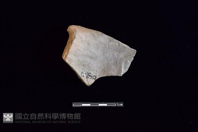 陶罐藏品圖，第2張