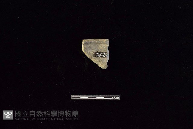 陶罐藏品圖，第2張