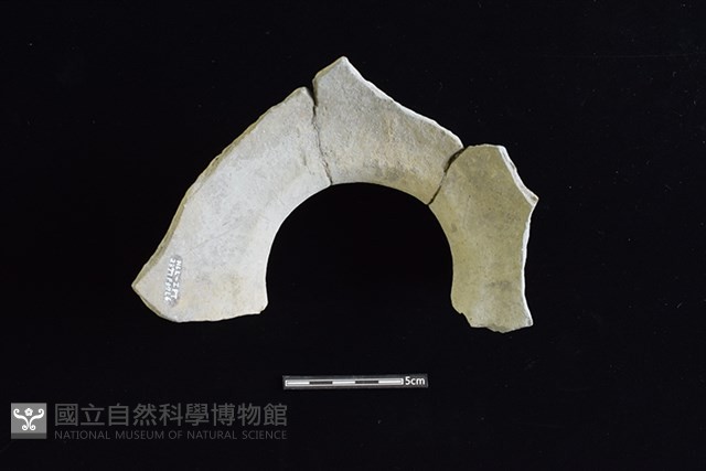 陶罐藏品圖，第2張