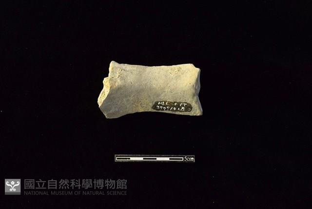 陶罐藏品圖，第2張