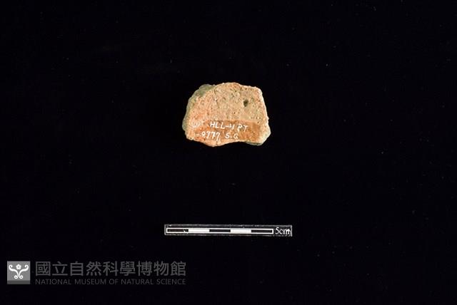 陶片藏品圖，第2張