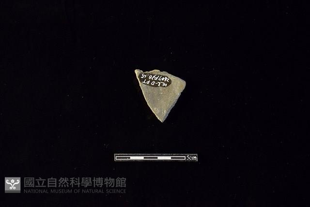 陶片藏品圖，第2張